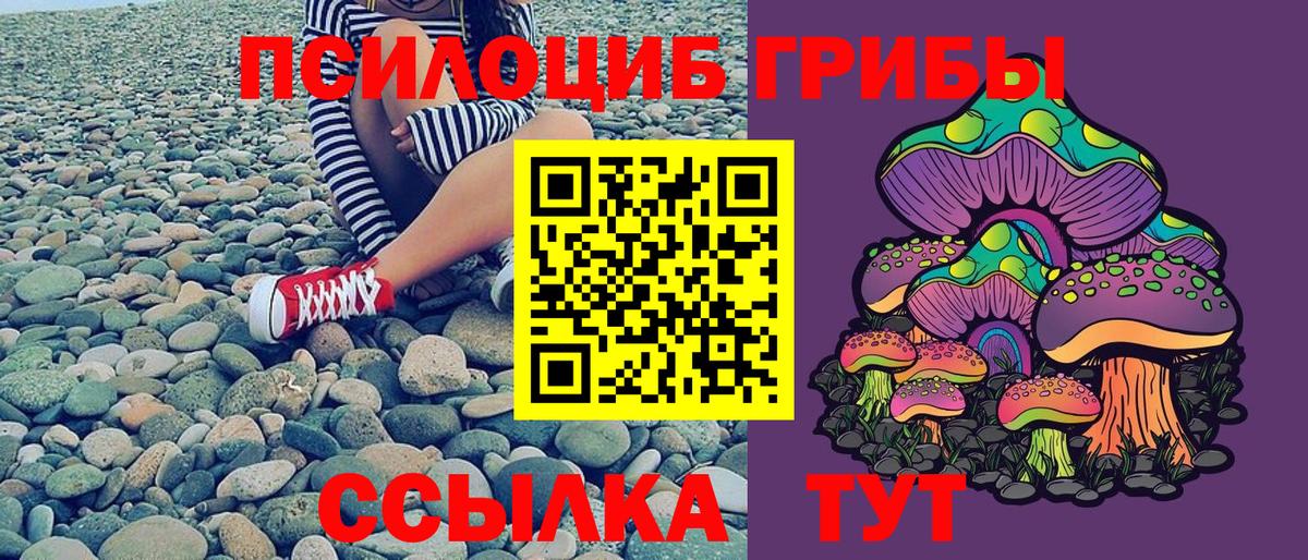 цены наркотик  Вход с VPN  Кисловодск  Галлюциногенные грибы Cubensis 