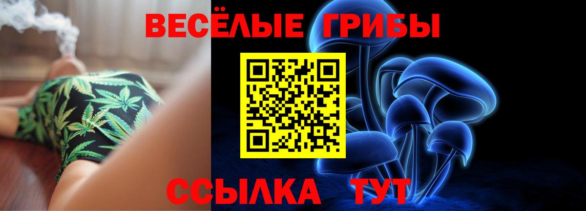 Галлюциногенные грибы GOLDEN TEACHER Кисловодск
