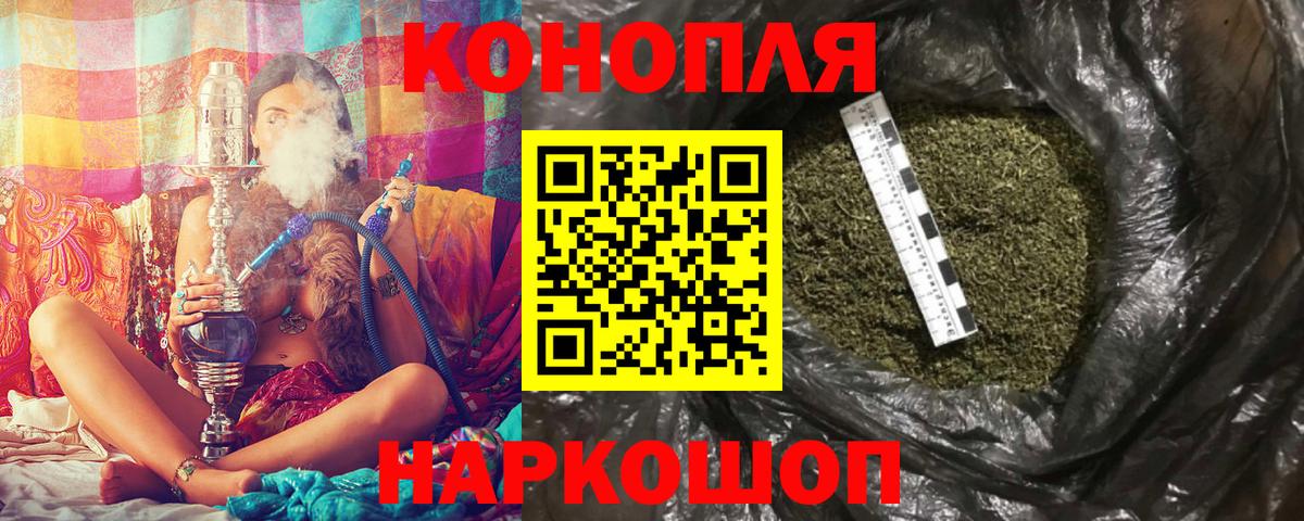 Шишки марихуана планчик Кисловодск